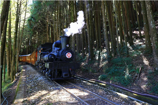 阿里山森铁FUN暑假亲山亲水邮轮列车开卖！