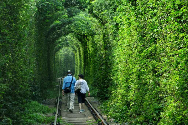 美翻了南京爱情隧道游客疯朝圣