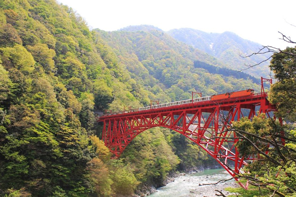 买一送一！搭阿里山森铁送黑部峡谷铁道免费搭