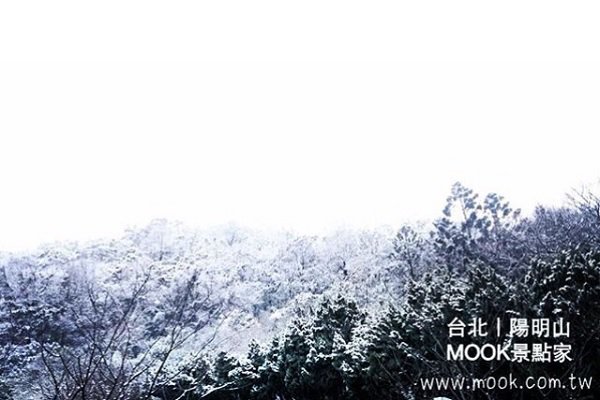 寒流来下雪有望阳明山启动下雪交管