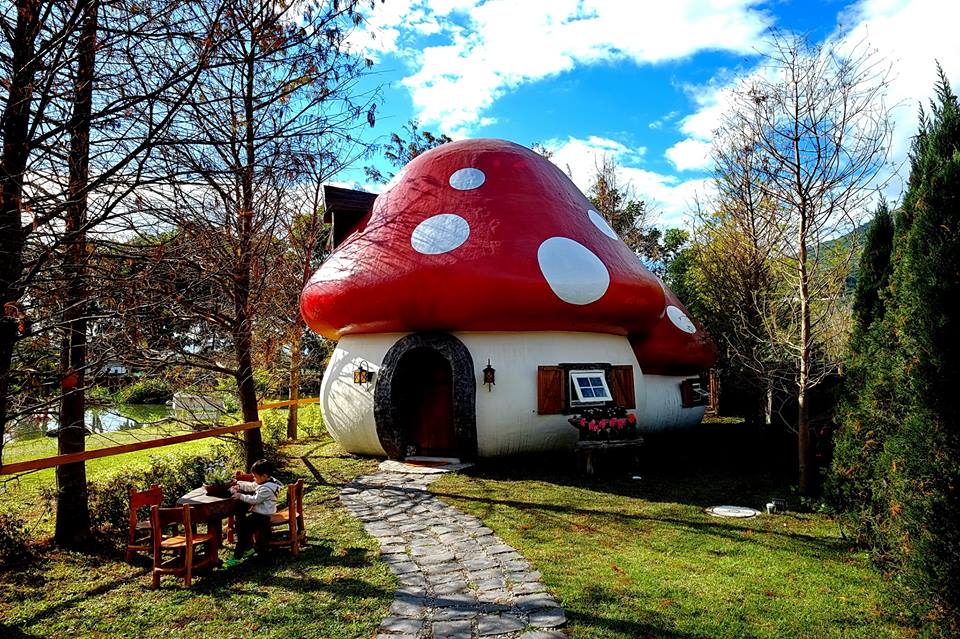 【访旅宿】住进蓝色小精灵的家花见幸福童话蘑菇屋