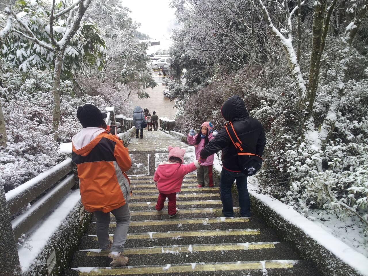 冷气团报到！太平山合欢山飘雪超梦幻