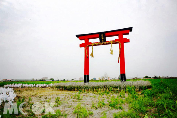 2015云林花海节变身北海道巨大鸟居春节浪漫祈福