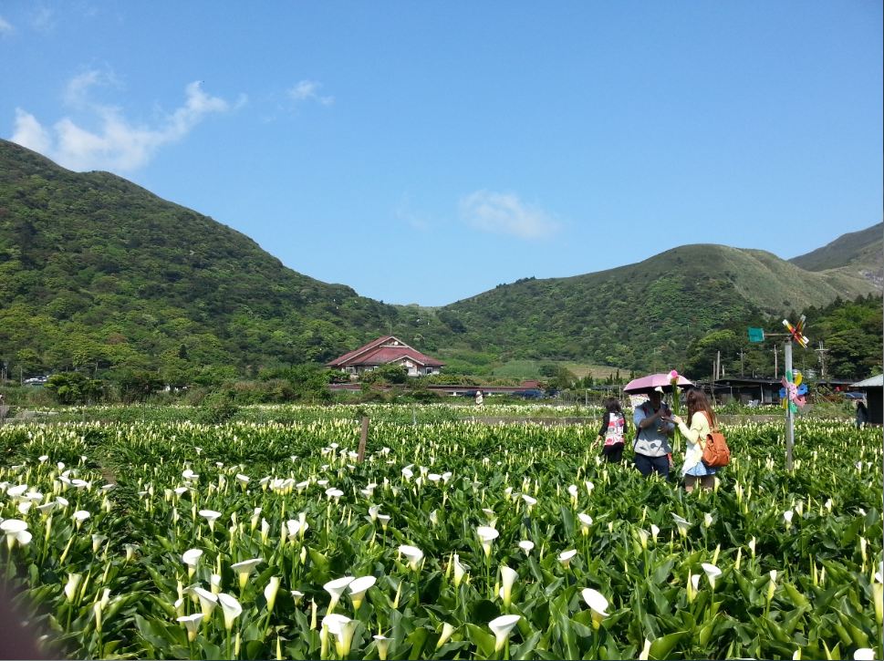 跟着柯P七步走！东南西北北市打卡登山去