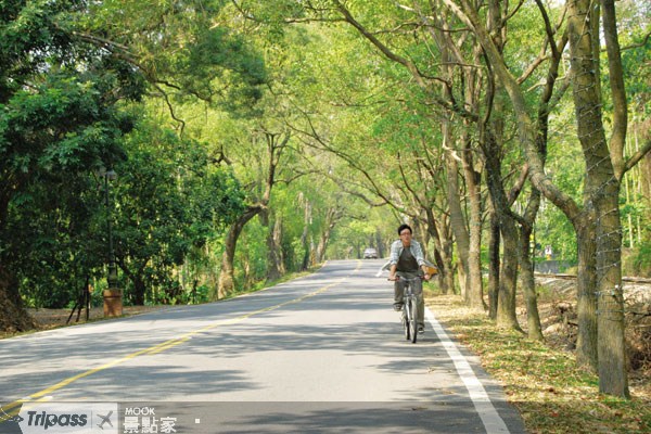 连假玩南投！两天一夜泡温泉看妖怪！