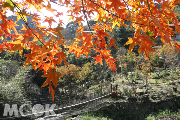 秋季山林轻旅行山弄水巷秘密景点一网打尽