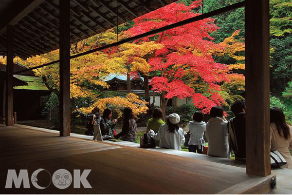 【旅人志】诗意日本，红叶秘境旅行