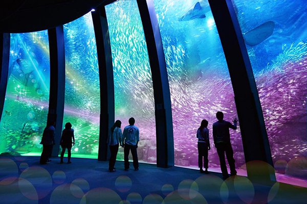 横滨八景岛登台北部最大水族馆旅游新地标