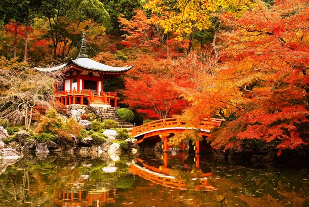秋意如诗！世界十大秋日美景
