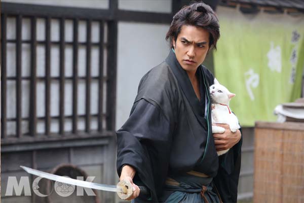 【周六电影院】猫侍看超萌猫咪驯服武士