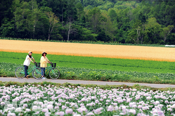 电车&单车共构的北海道风景