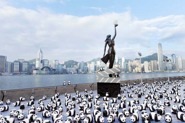 1600熊猫游香港熊猫大军现身人气景点