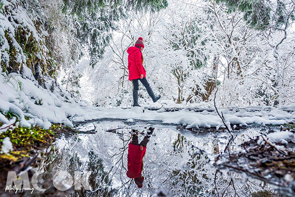 银白世界美到不行全台十大浪漫雪景