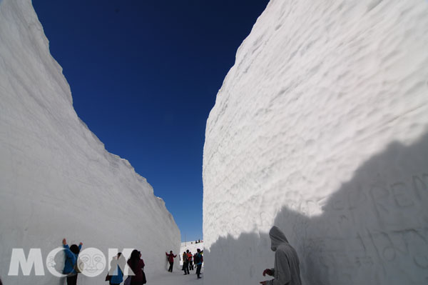 黑部立山开山跟着APP漫步雪之大谷