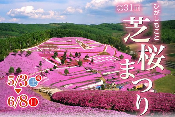 浪漫芝樱季北海道东藻琴人气攀升