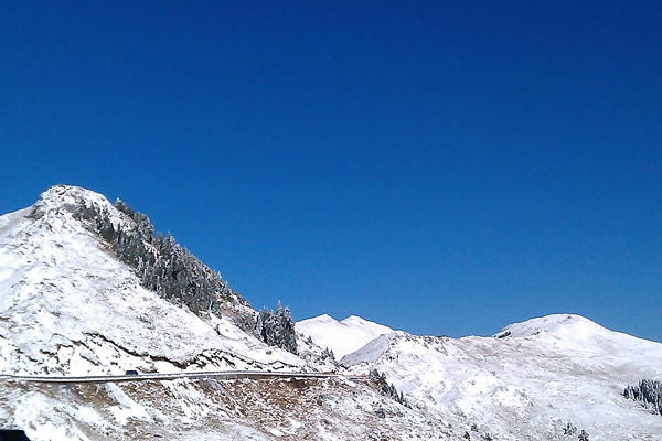 寒流来袭！玉山、合欢山再飘雪
