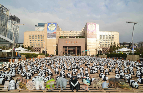 1600只纸猫熊太萌！民众抢拍40只“落漆”