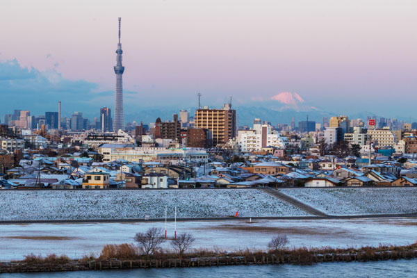 20年来最大雪！东京街头化身银白世界