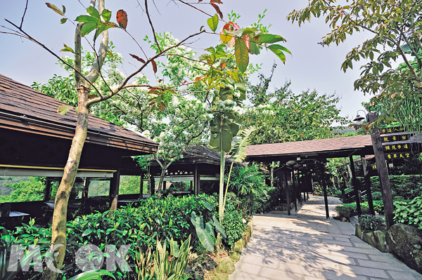 【周二住民宿】花岩山林，三峡美丽后花园