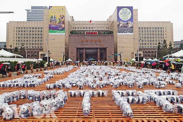 1600纸猫熊移师两厅院“玻尿酸”修修脸再相见
