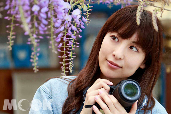 瑞里紫藤花绽放15处赏花地大推荐