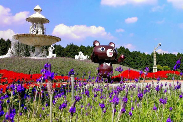 【周五玩台湾】薰衣草季浪漫登嘲KANO”棒球主题展超热血