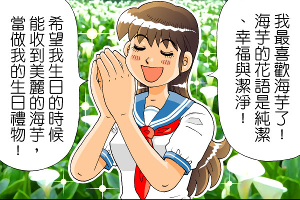 竹子湖海芋季登场交通、必游景点一次掌握