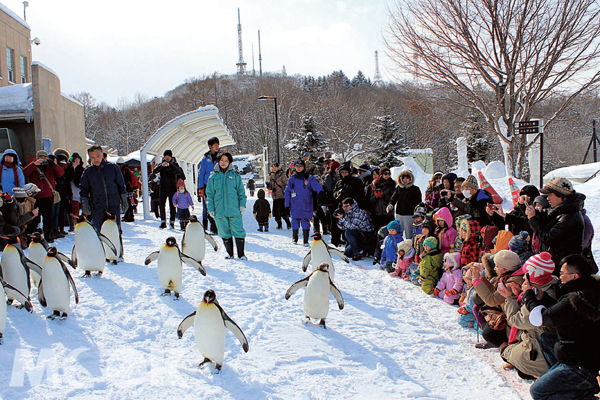 北海道之冬上瘾雪旅行