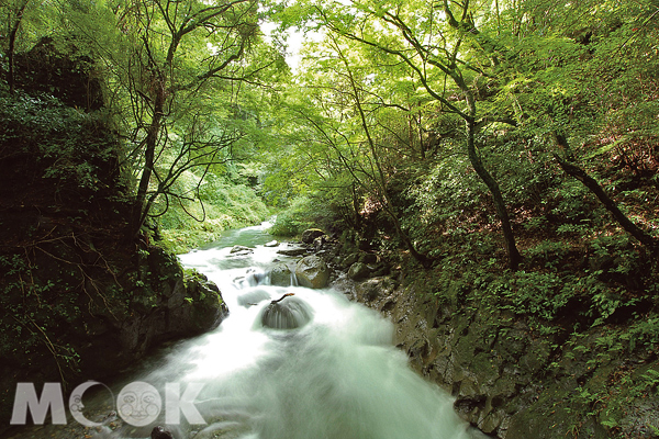 绝景宫崎%s摩登福冈走进九州南国风情