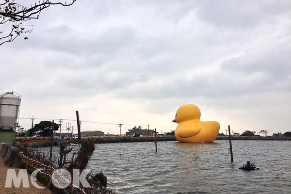 桃园黄色小鸭充气完成广场艺术节同步登场
