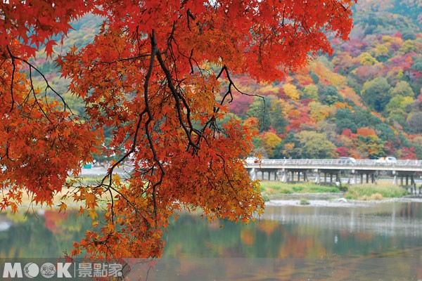 京都大水退岚山涌现游客潮