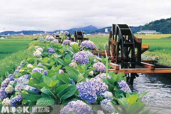 日本消暑秘境免费游高知旅游神秘客募集中