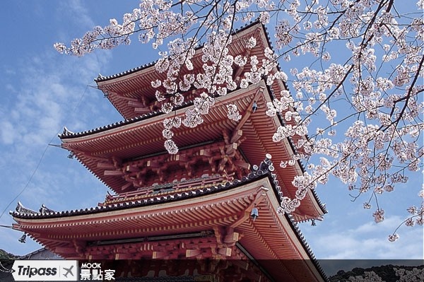 京阪神畅游1490个景点情报全攻略