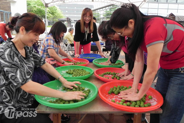 2013瓮藏春之梅脆梅腌制DIY