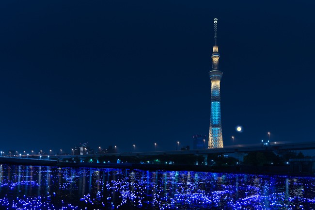 超浪漫东京天空树银河夜景点点萤光闪耀隅田川