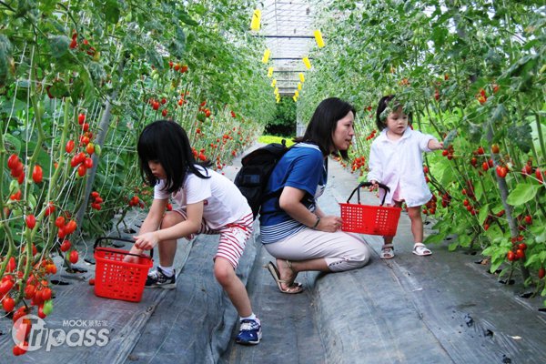 赏花采果迎新春北市休闲农场春节不打烊
