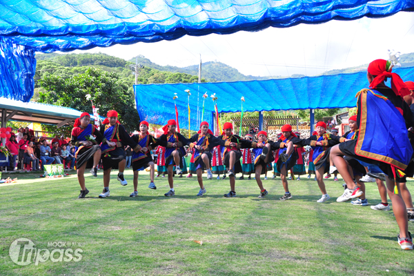 赏花结合部落巡礼金峰洛神花季11月登场