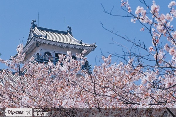 春节出国旅游日韩降价、大陆涨最多