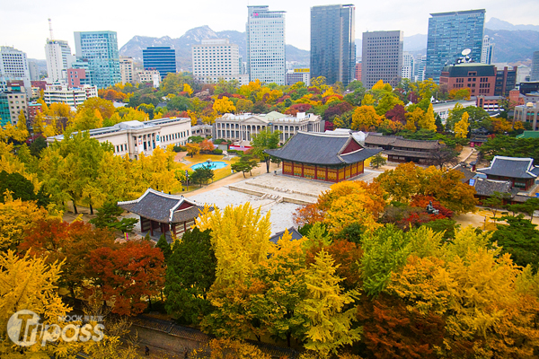 韩国赏枫季江原道率先登场首尔10月中转红