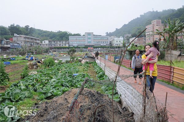 有机市集建国花市6月先开跑