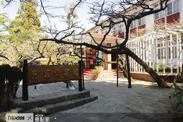 阿里山公路封闭森林游乐区休园