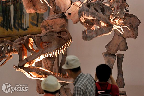 恐龙研究热门地月之谷化石来台重现三叠纪