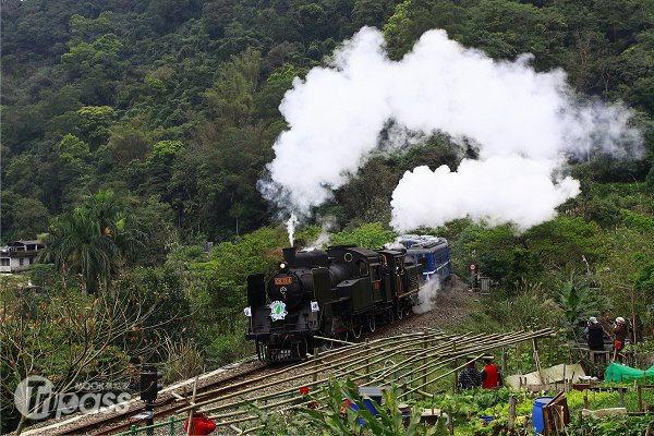 蒸汽观光列车游内湾仲夏宝岛号5/30开始订票