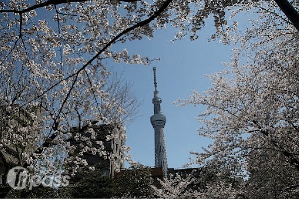 晴空塔今开幕东京新增4项观光设施