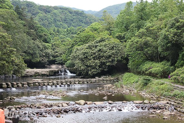 邀妈妈绿活新北登山步道还有宝妈作伴赏桐花