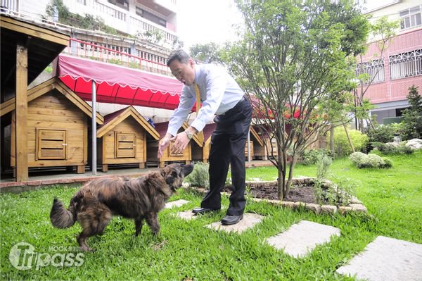 专属木屋还能同车共游带狗宝贝赏桐好轻松