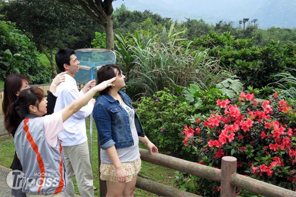 2012阳明山蝴蝶季，天籁响应主题生态游