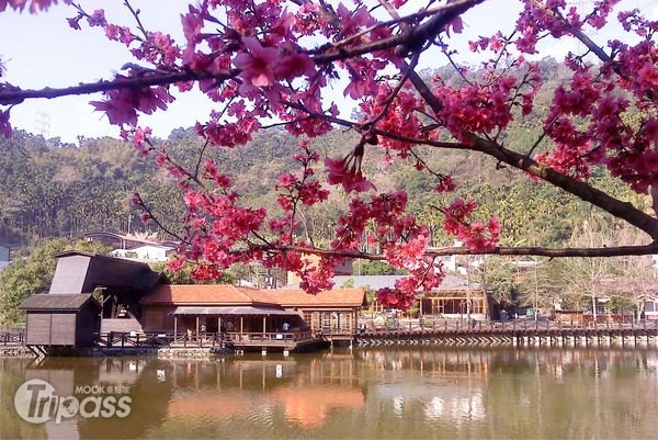 白色情人节音乐飨宴3/10车埕登场
