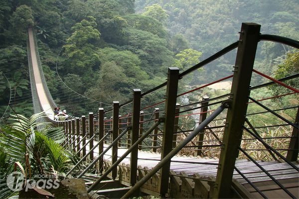 台湾第一座天梯～南投竹山梯子吊桥