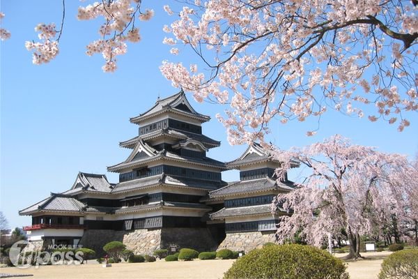 追樱体验大募集上网抽4天3夜日本赏樱自由行